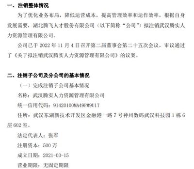 騰飛人才擬注銷(xiāo)武漢騰實(shí)人力資源管理