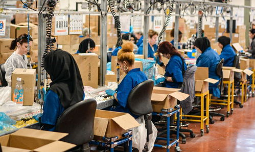 進(jìn)廠打工的大學(xué)生 每天站12個(gè)小時(shí) 4年存50萬(wàn)